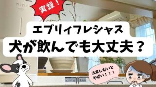 エブリィフレシャスは犬が飲んでも大丈夫？実際に与えてみた感想も紹介