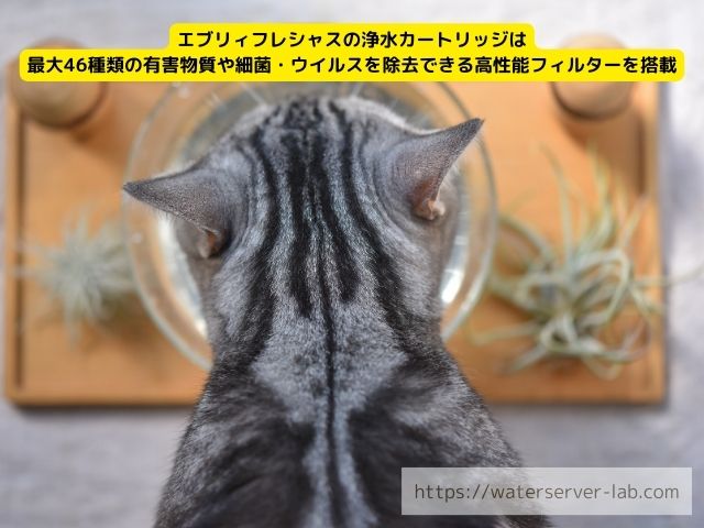 エブリィフレシャス 猫 飲める 口コミ