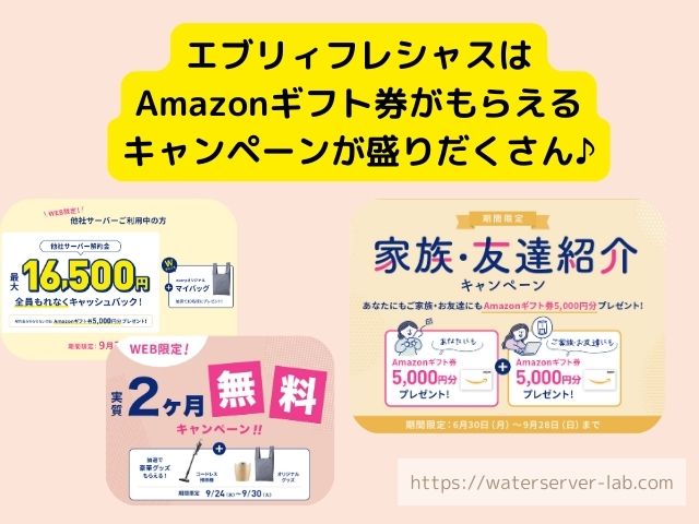 体験談 エブリィフレシャス Amazonギフト券 いつ届く 受け取り時期 条件