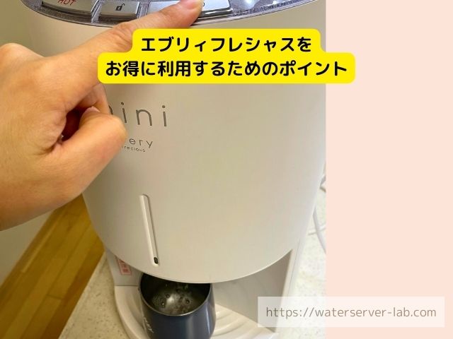 体験談 エブリィフレシャス Amazonギフト券 いつ届く 受け取り時期 条件