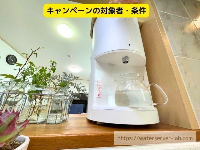 体験談 エブリィフレシャス Amazonギフト券 いつ届く 受け取り時期 条件