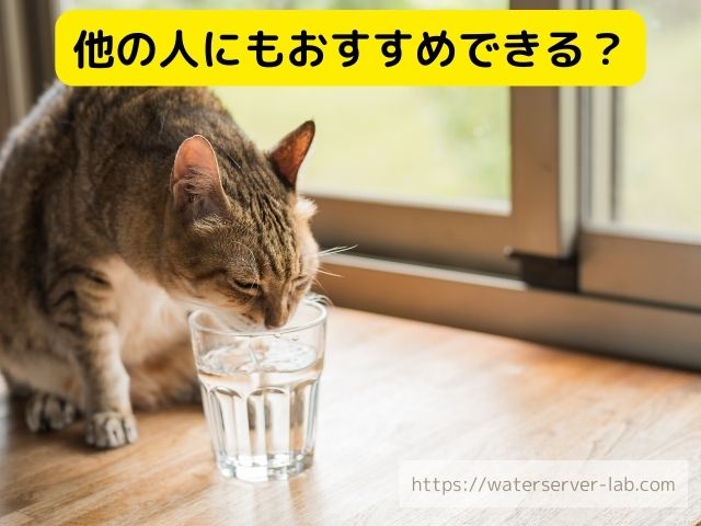 エブリィフレシャス　猫　飲める　与えた時の反応　体調
