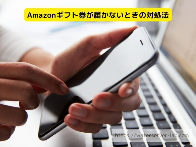 体験談 エブリィフレシャス Amazonギフト券 いつ届く 受け取り時期 条件