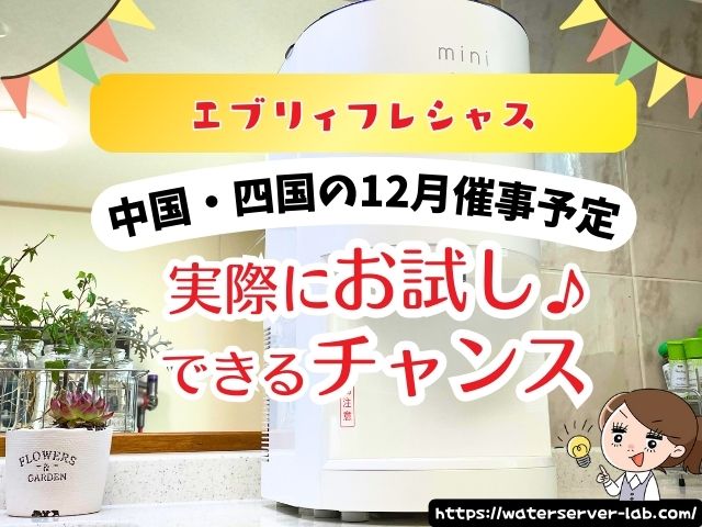 12月度　エブリィフレシャス　試せる　催事場　お試し　場所